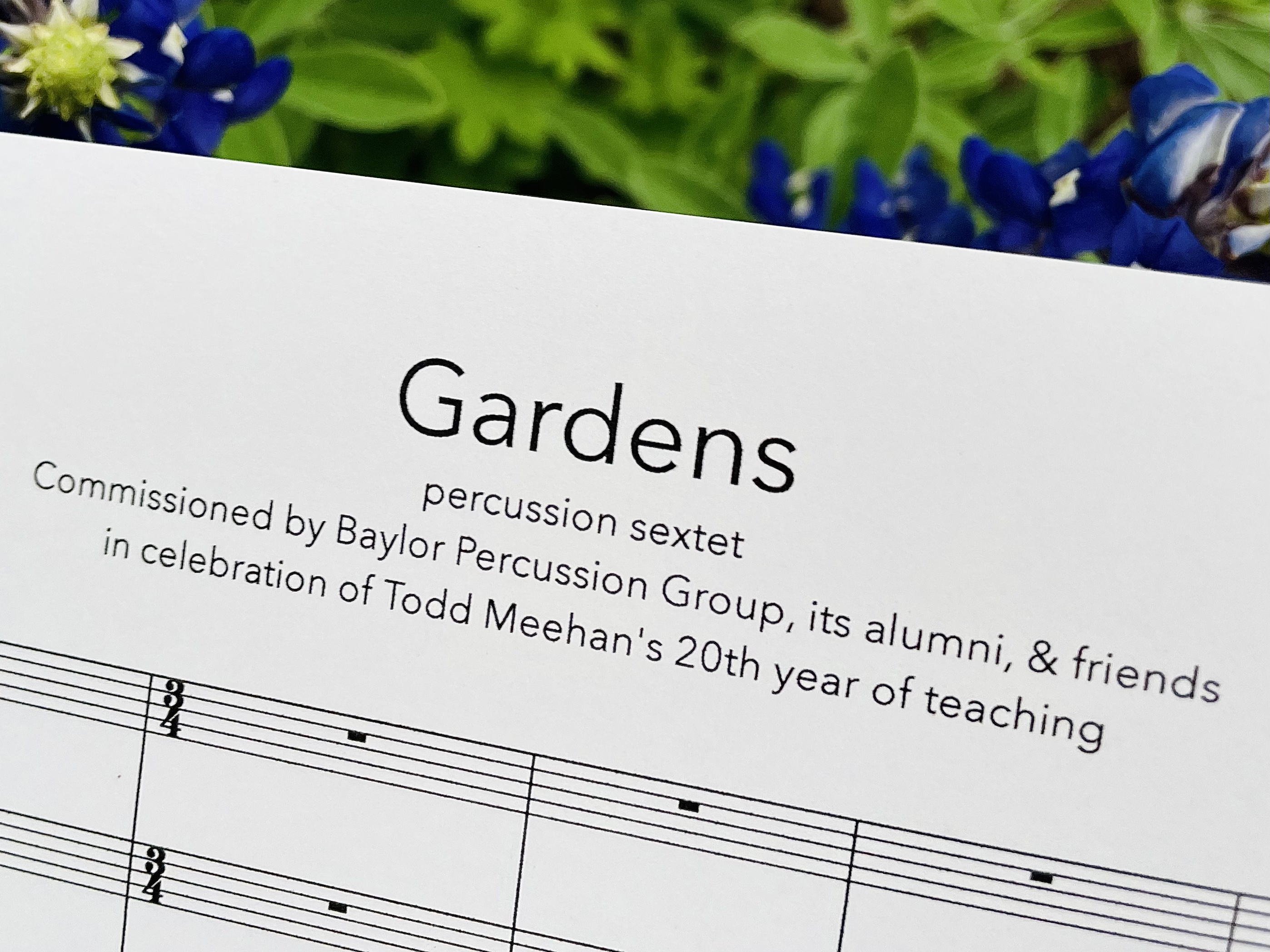 GARDENS percussion sextet – PDF score & parts – Ivan Trevino